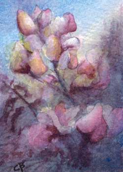 July - "Sweet Peas" by Cheryl Breunig, Prairie du Sac WI - Watercolor - SOLD